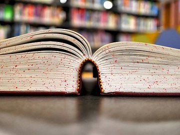 bildung_Buch_kshelton_pixabay_Lizenz_CC0_Public_Domain_a5c33aa135.jpg